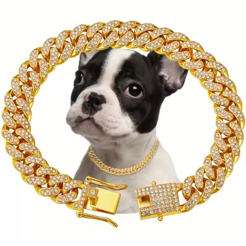 Gold-tone rhinestone-style pet chain and clasp with a dog wearing the chain