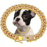 Gold-tone rhinestone-style pet chain and clasp with a dog wearing the chain