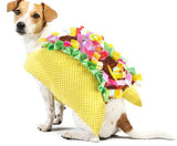 Taco