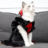 Cat wearing the vampire costume, side view