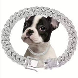 Silver-tone rhinestone-style pet chain and clasp with a dog wearing the chain