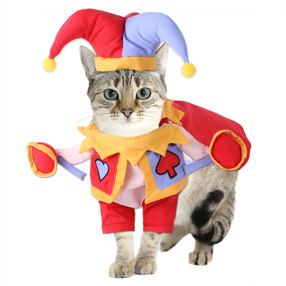 Gadegio Jester pet costume — supplier product photo